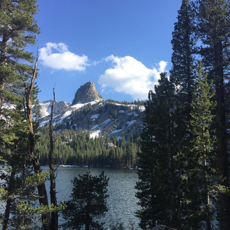 Blick durch Bäume auf einen Bergsee. Im Hintergrund leicht schneebedeckten Berge und blauer Himmel mit wenigen weißen Wolken.